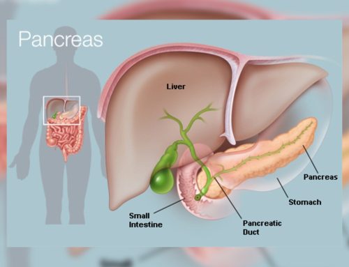 Problems of the Pancreas